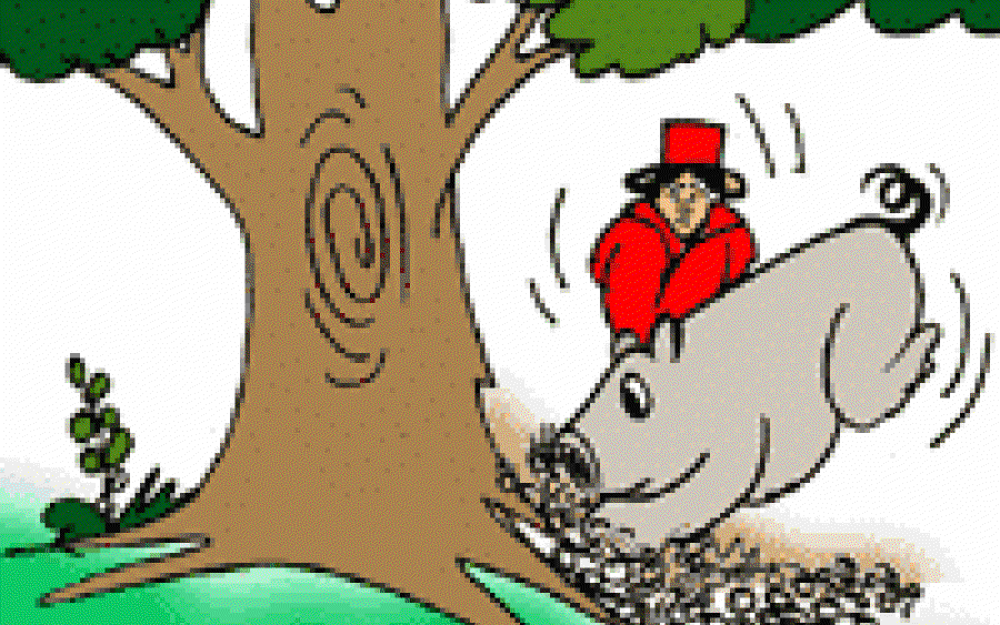 What are Truffles?