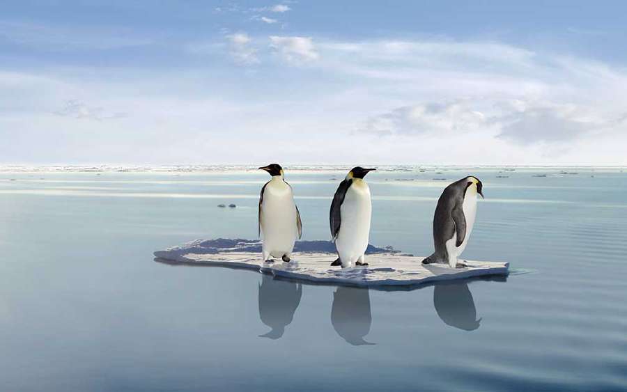 How Does Ice float?