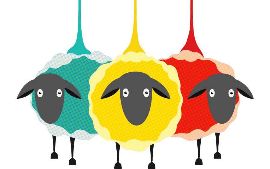 How Wool Came Into Existence