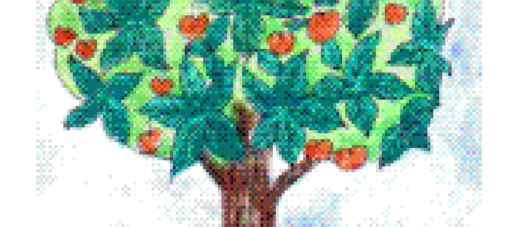 Trees of Delhi – Under the Axe!