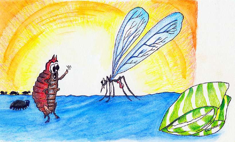The Bed Bug and the Mosquito [Illustrations by Amarjeet Malik
