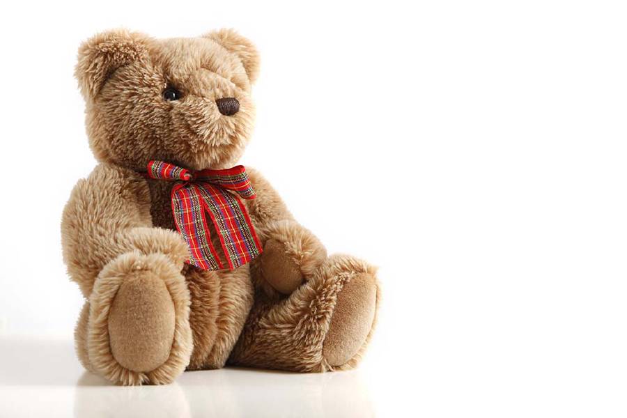A teddy bear