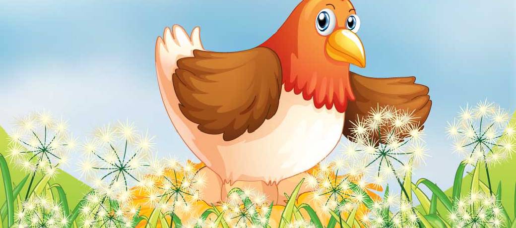 What Makes the Egg Shell so Strong?