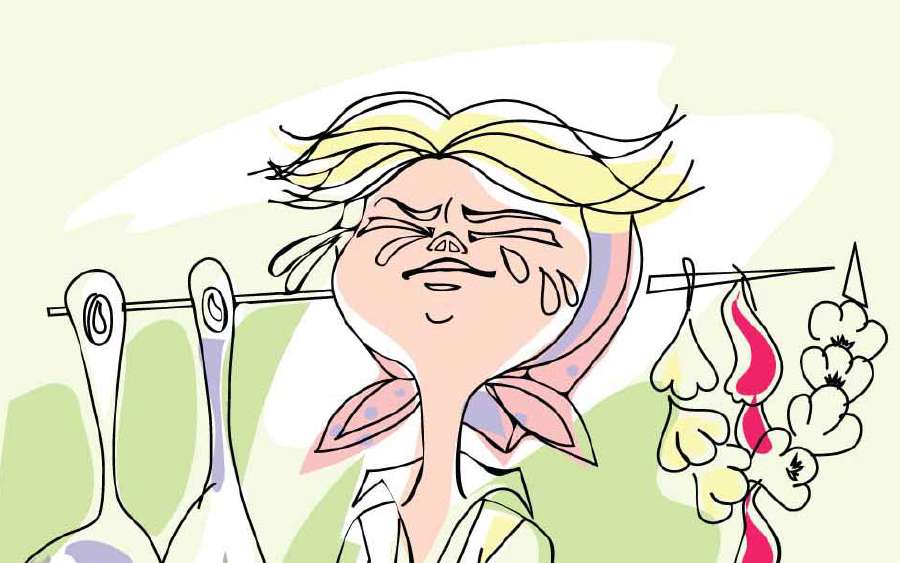 Why do Onions Make us Cry?