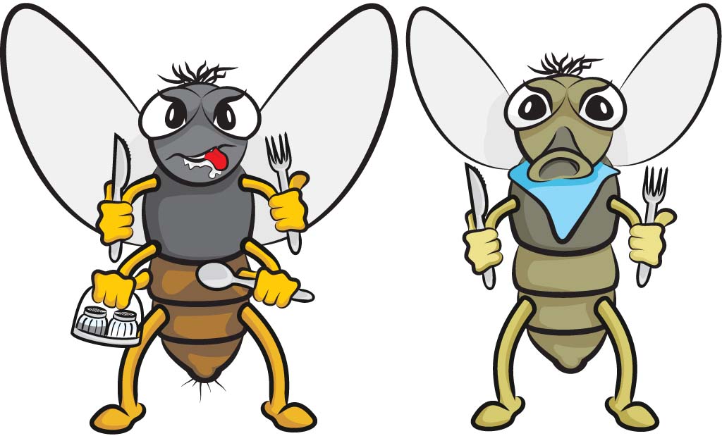 How do houseflies spread diseases?