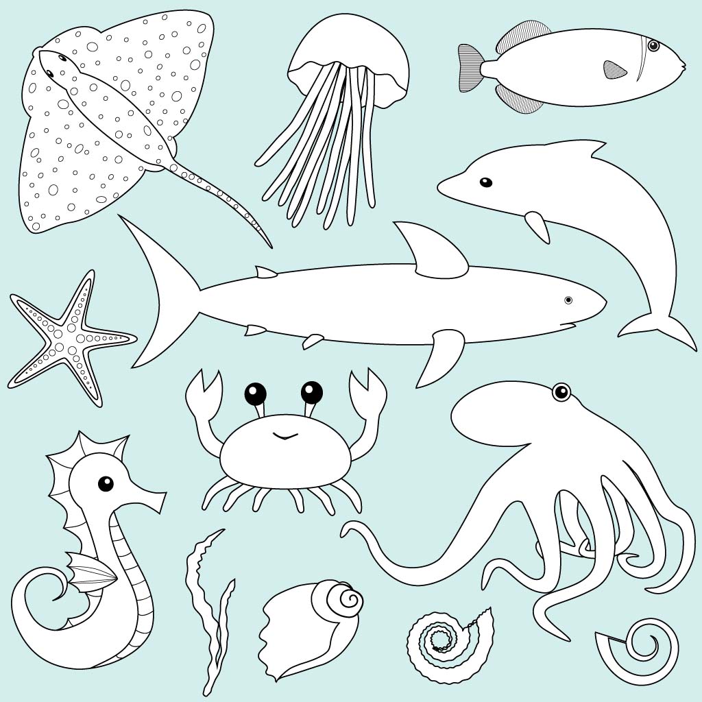 Life in the Sea Life in the Sea
