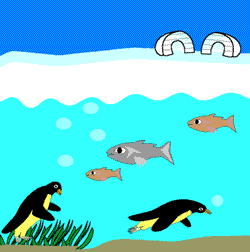 How Do Fish Survive in Icy Waters? How Do Fish Survive in Icy Waters?
