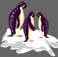 Where Do Penguins Live? Where Do Penguins Live?