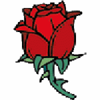 Roses Roses
