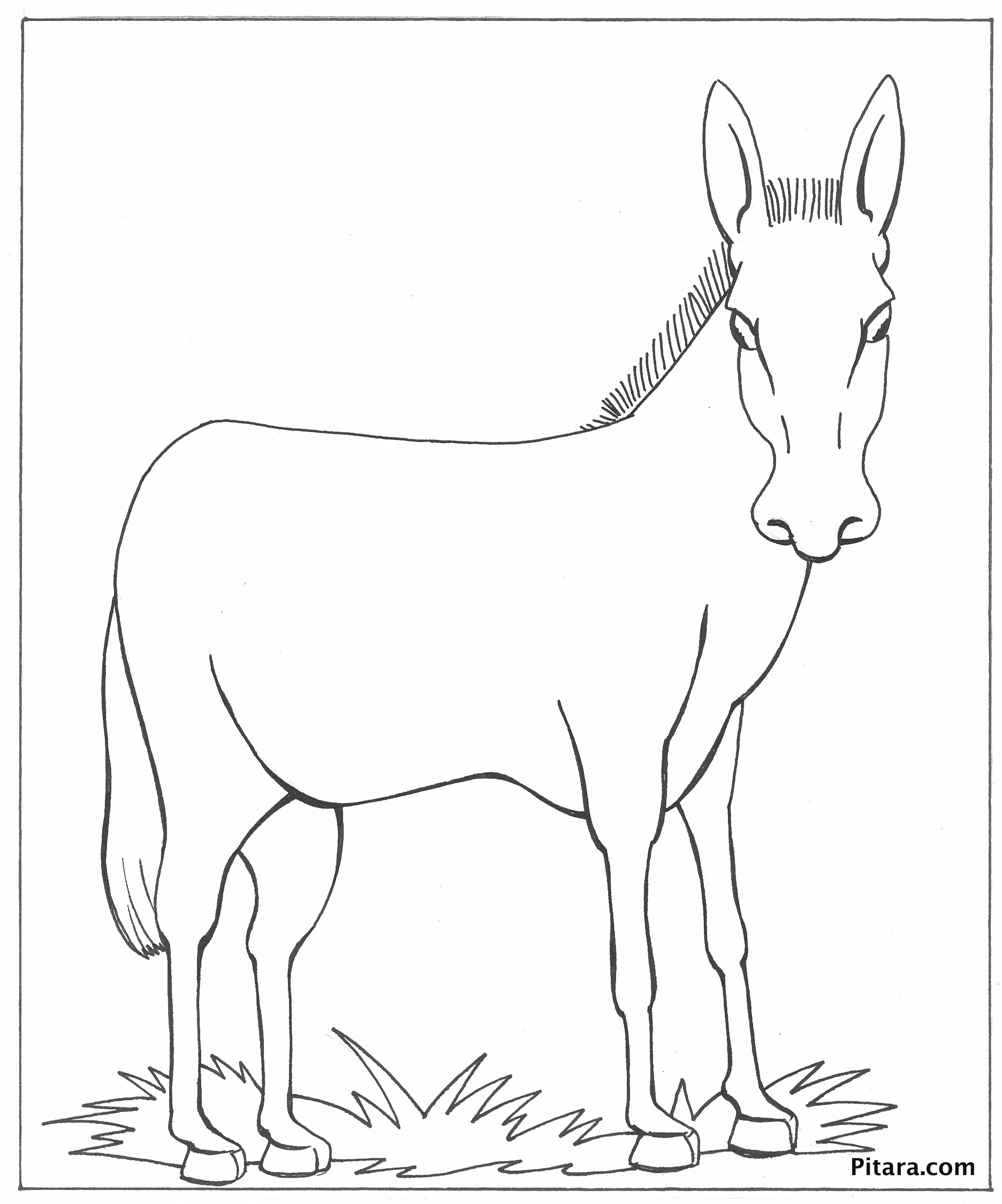 baby dk coloring pages - photo #23