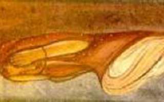 सारे मौसम अच्छे