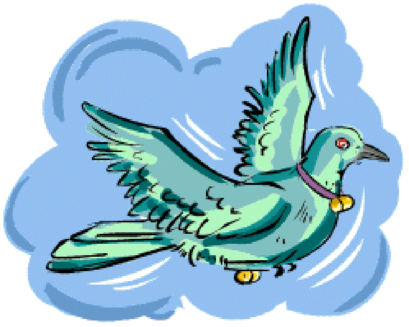 Where does the Pigeon Post Operate? [Illustration by Anup Singh]