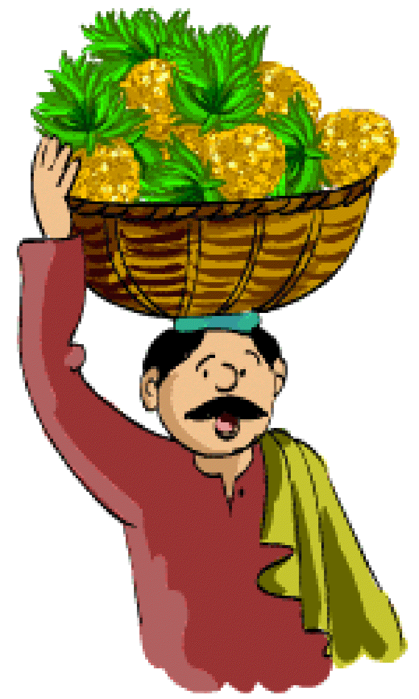 How did the Pineapple get its Name? [Illustration by Anup Singh]