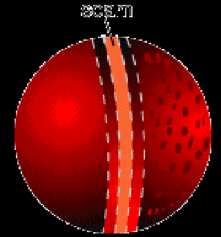 A Swing in the Tale [Illustration by Shinod]