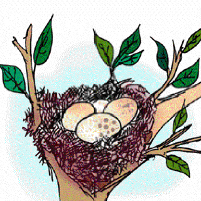 Why are Eggs Oval? [Illustration by Sudheer Nath]