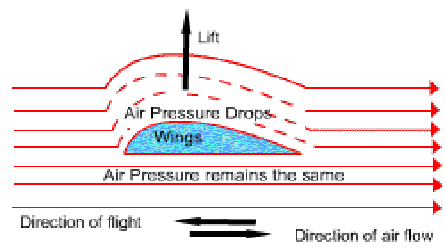 Why do Aeroplanes have Wings? [Illustration by Shinod AP]