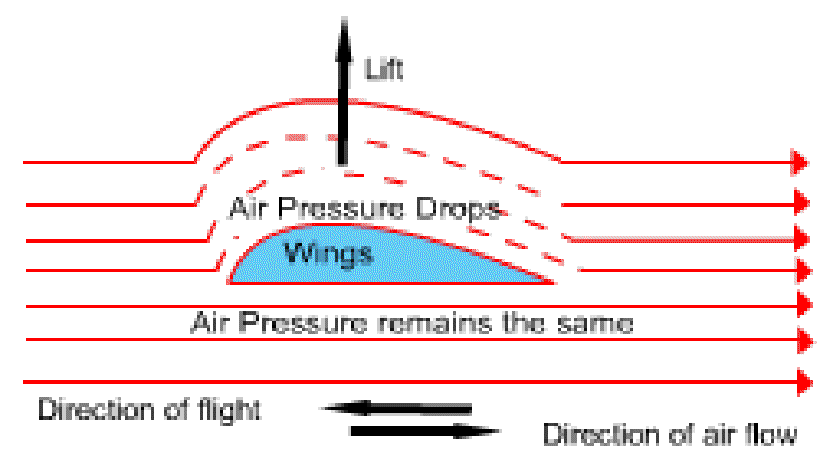 Why do Aeroplanes have Wings? [Illustration by Shinod AP]