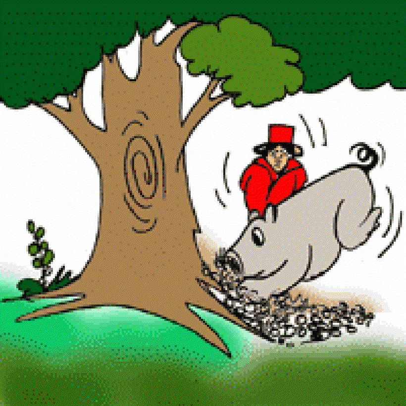 What are Truffles? [Illustration by Sudheer Nath]