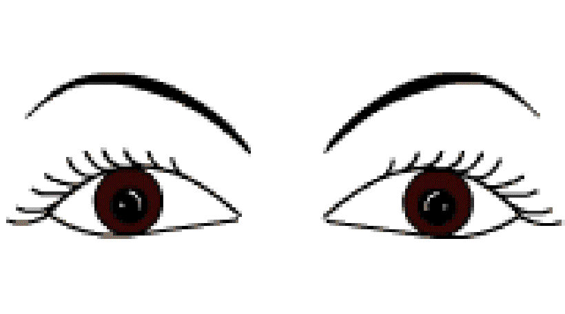 Why do we Blink? [Illustration by Anup Singh]