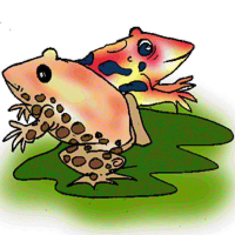 Why are Some Reptiles Brightly Coloured? [Illsutration by Sudheer Nath]