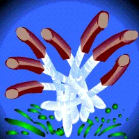 What are Volcanic Tubeworms? [Illustration by Shinod AP]
