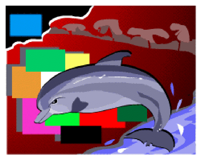 Do Whales see Blue? [Illustration by Shiju George]