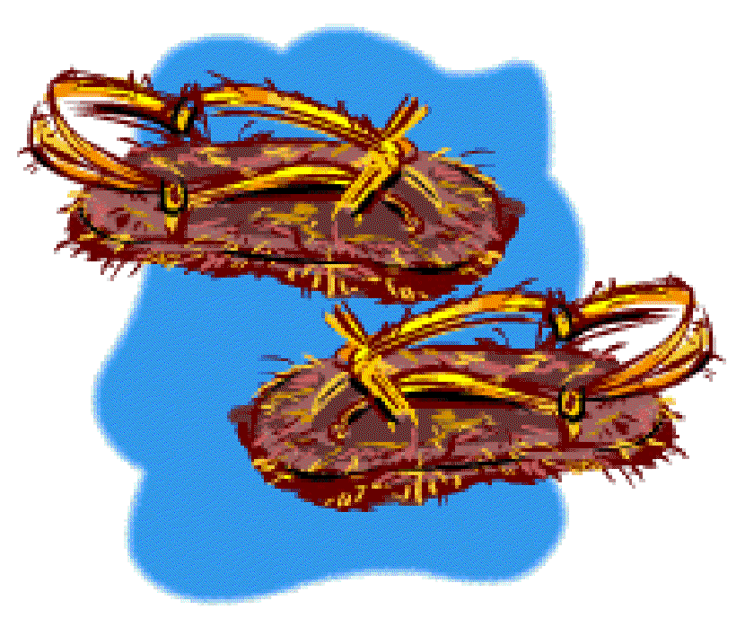 Where Did Shoes Come From? [Illustration by Anup Singh]