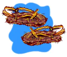 Where Did Shoes Come From? [Illustration by Anup Singh]