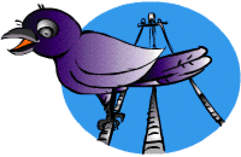 Why don't Birds on a wire get a shock? [Illustration by Shinod AP]