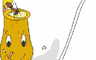 Why are Some Plants Non-vegetarian?