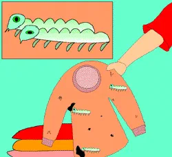Why do Woollens Get Holes? [Illustration by Sudheer Nath]