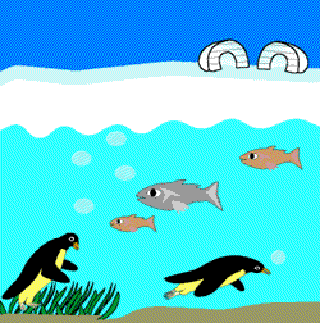 How Do Fish Survive in Icy Waters? [Illustration by Sudheer Nath]