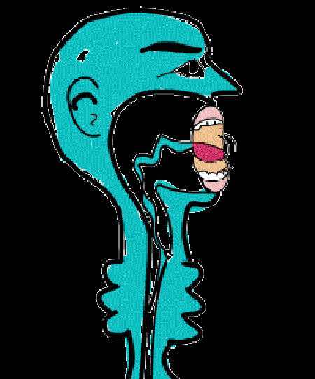 Why are Human Voices Different? [Illustration by Anup Singh]