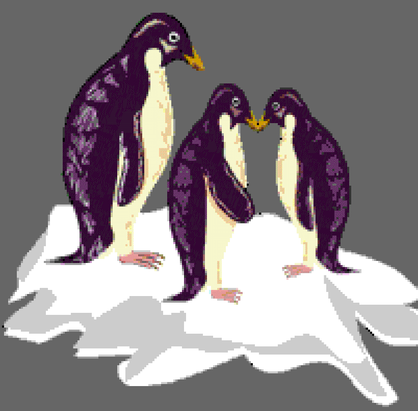 Where Do Penguins Live? [Illustration by Anup Singh]