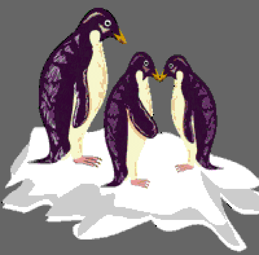 Where Do Penguins Live? [Illustration by Anup Singh]