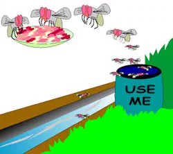 How do Houseflies Spread Diseases? [Illustration by Sudheer Nath]