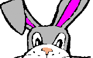 Why Do Rabbits have Buck Teeth?