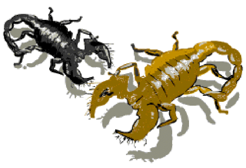 How Bad is the Sting of a Scorpion? [Illustration by Anup Singh]