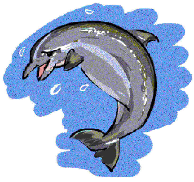 Where is the Rare Blind Dolphin Found? [Illustration by Shiju George]