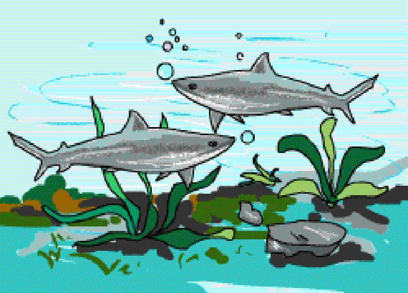 What Kind of Creatures are Sharks? [Illustration by Anup Singh]