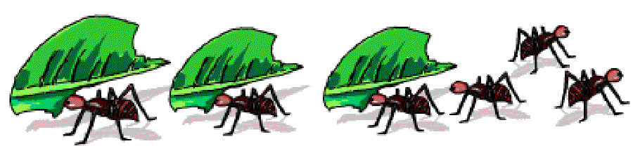 Who are the Insect Farmers? [Illustration by Anup Singh]