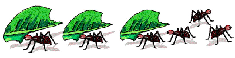 Who are the Insect Farmers? [Illustration by Anup Singh]