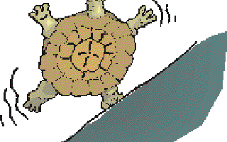 Why Do Turtles and Tortoises Live So Long?