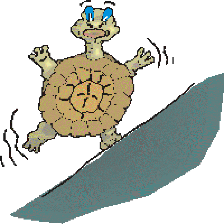 Why Do Turtles and Tortoises Live So Long? []
