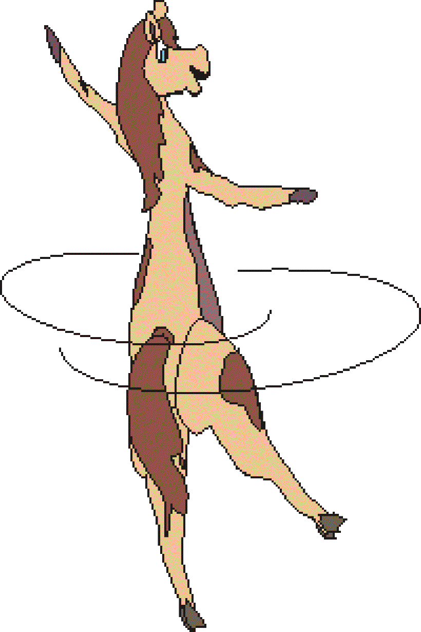 Why Do Horses Need Shoes? [Illustration by Sridevi]