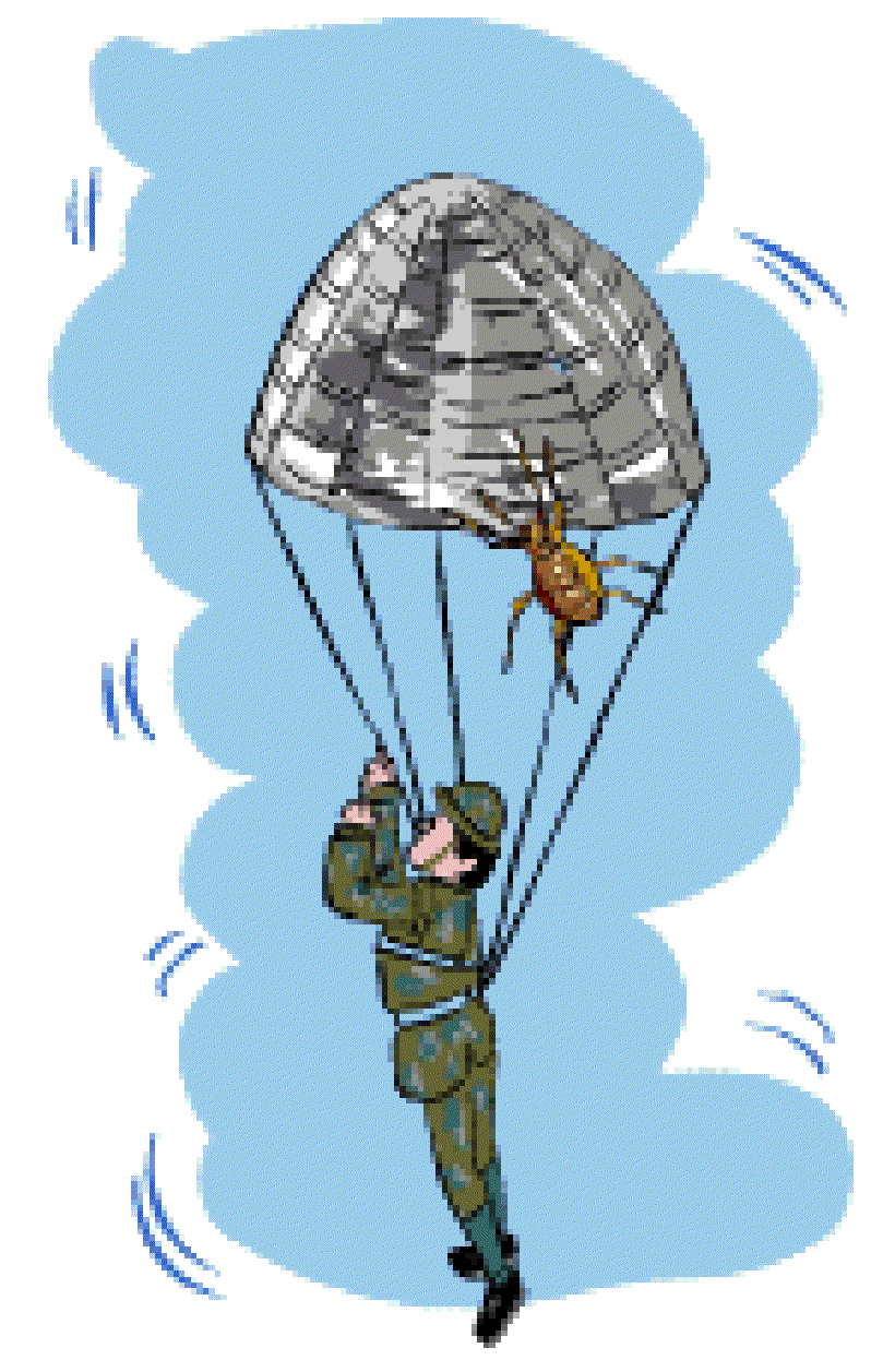 How do Spiderwebs Help Skydivers? [Illustration by Anup Singh]