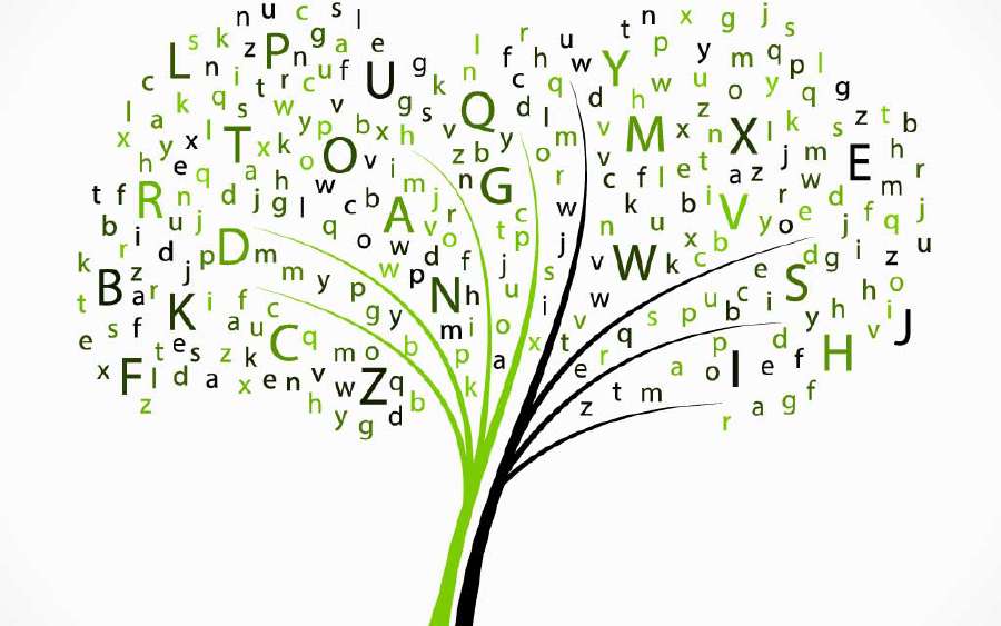 Language Quiz: Proverbs