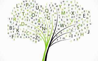 Language Quiz: Proverbs