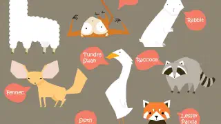 Illustration for Animal Talk