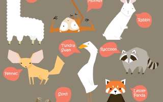 The Secret of Animal Names